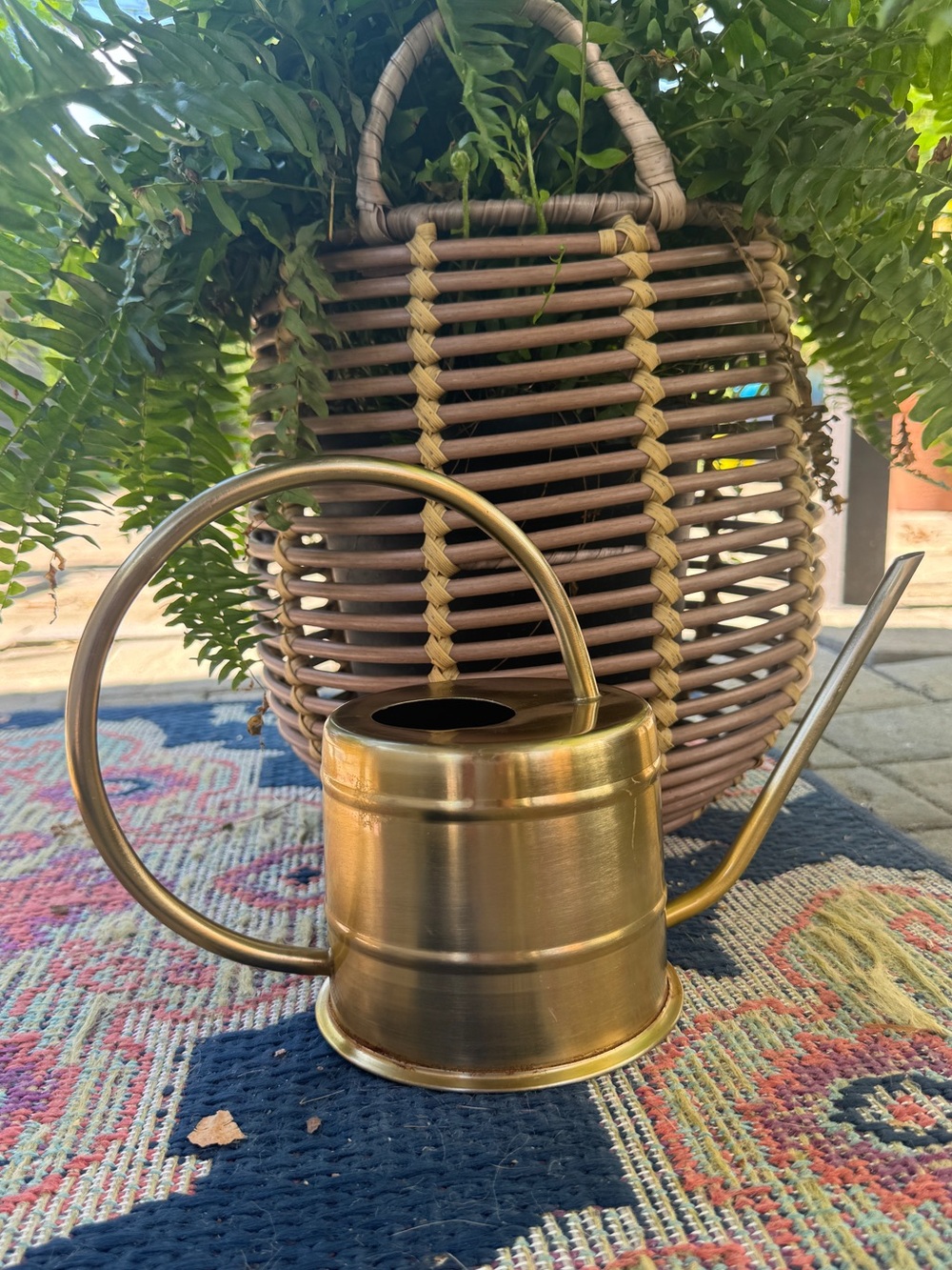 Vintage Brass Tone Indoor Watering Can Long Spout Plant Watering Can